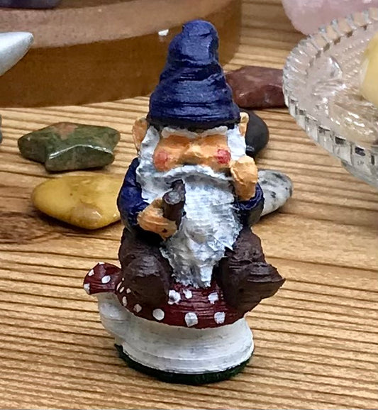 Little Blue Gnome on Mushroom